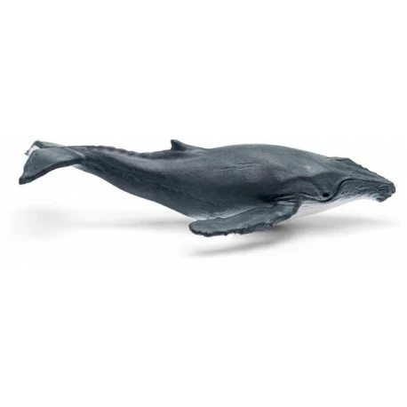 Tonies® WAS IST WAS - Wale & Delfine/Geheimnisse Tiefsee 3 Tonies® WAS IST WAS - Wale & Delfine/Geheimnisse Tiefsee